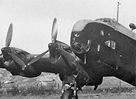 Books and Catalogues